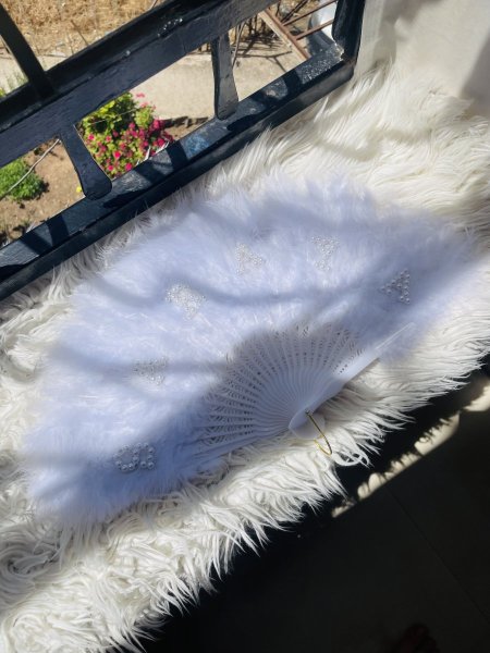 مروحة ريش
